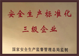 安全生產(chǎn)標準化 